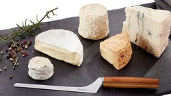 Edelstahl rostfrei, Käsemesser schmal