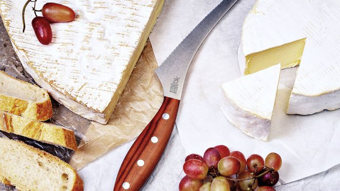 
                    Couteau à fromage à pâte molle de Windmühlenmesser pour du fromage à pâte molle